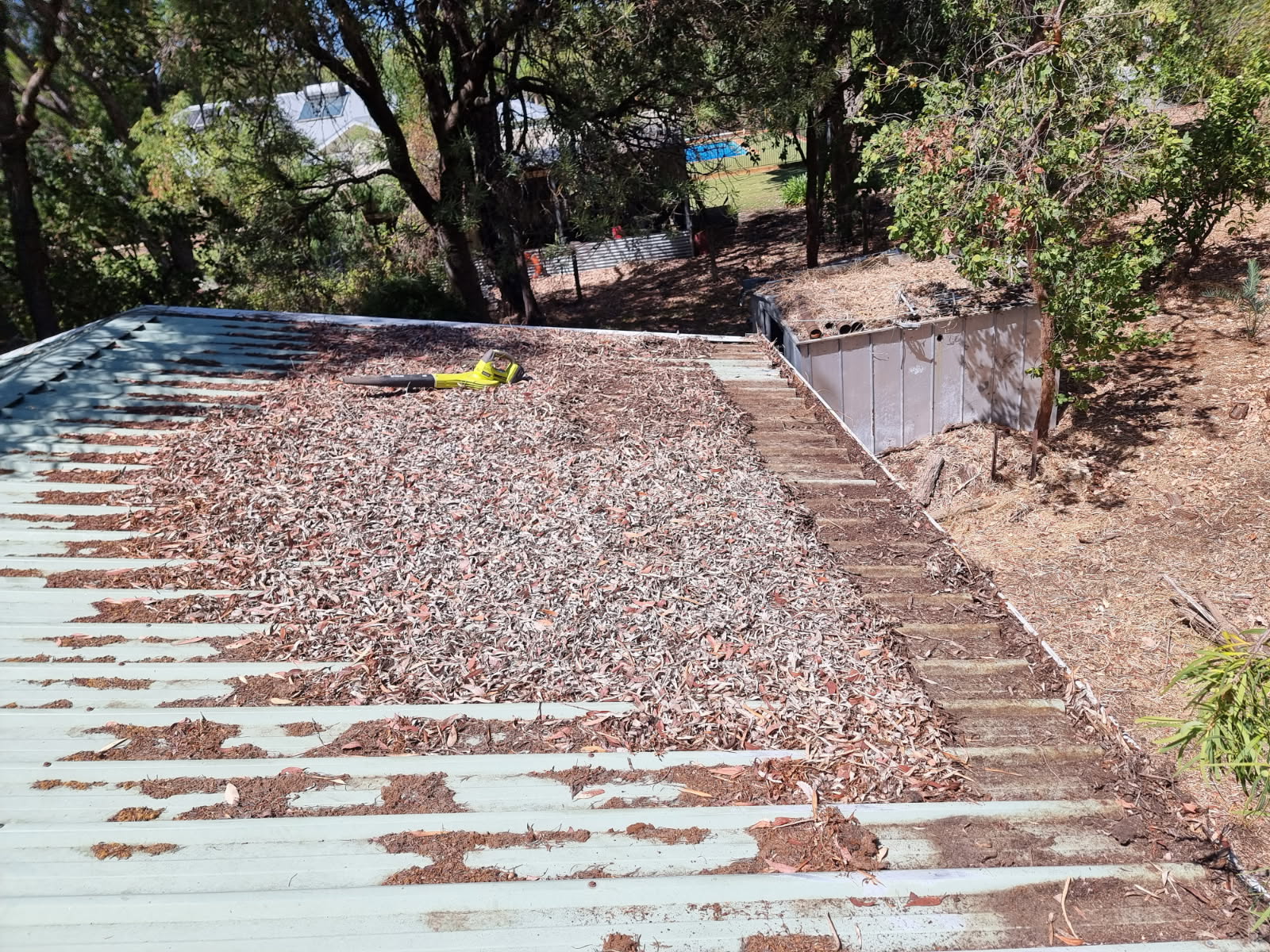 Gutter cleaning service for Kirup and Newlands